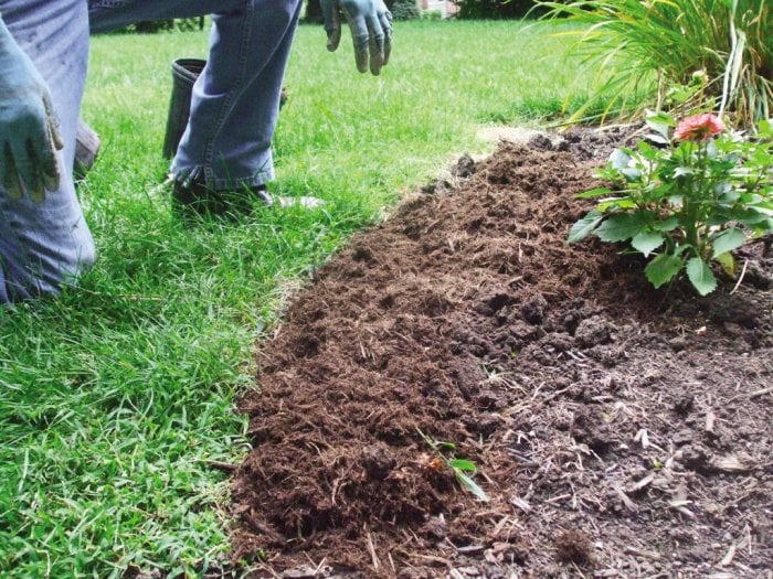 A homeowner edges and mulches a flower bed. A homeowner edges and mulches a flower bed.